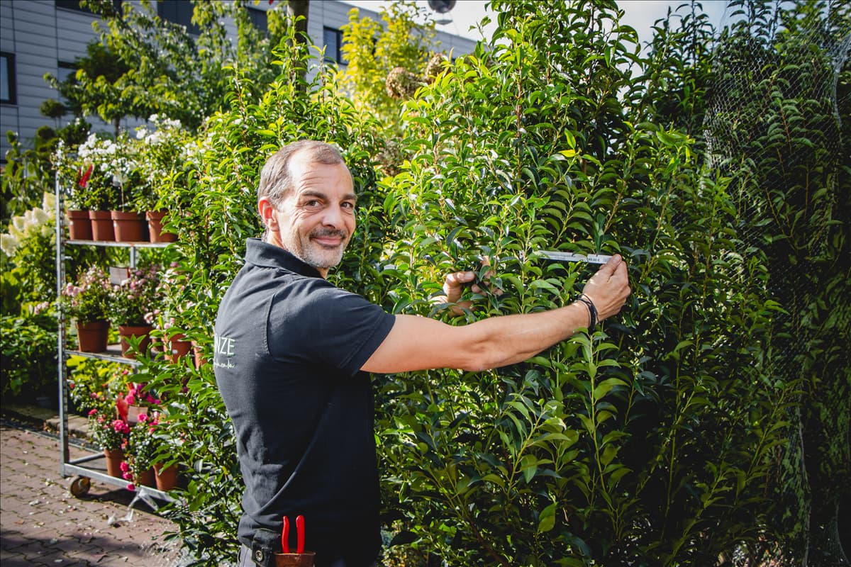 Verkäufer und Kundinnen im Gartencenter