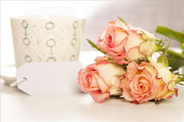 Edelrose