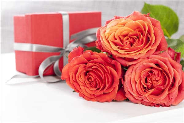 Edelrose