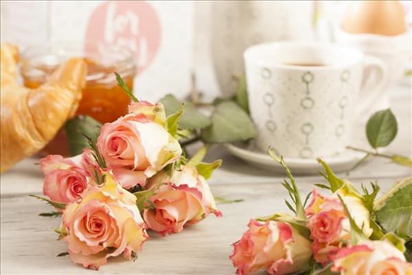 Edelrose