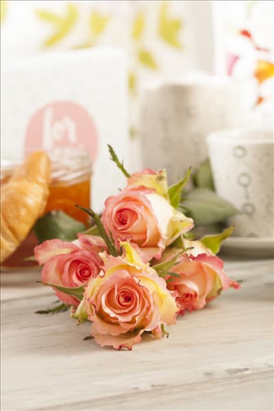 Edelrose