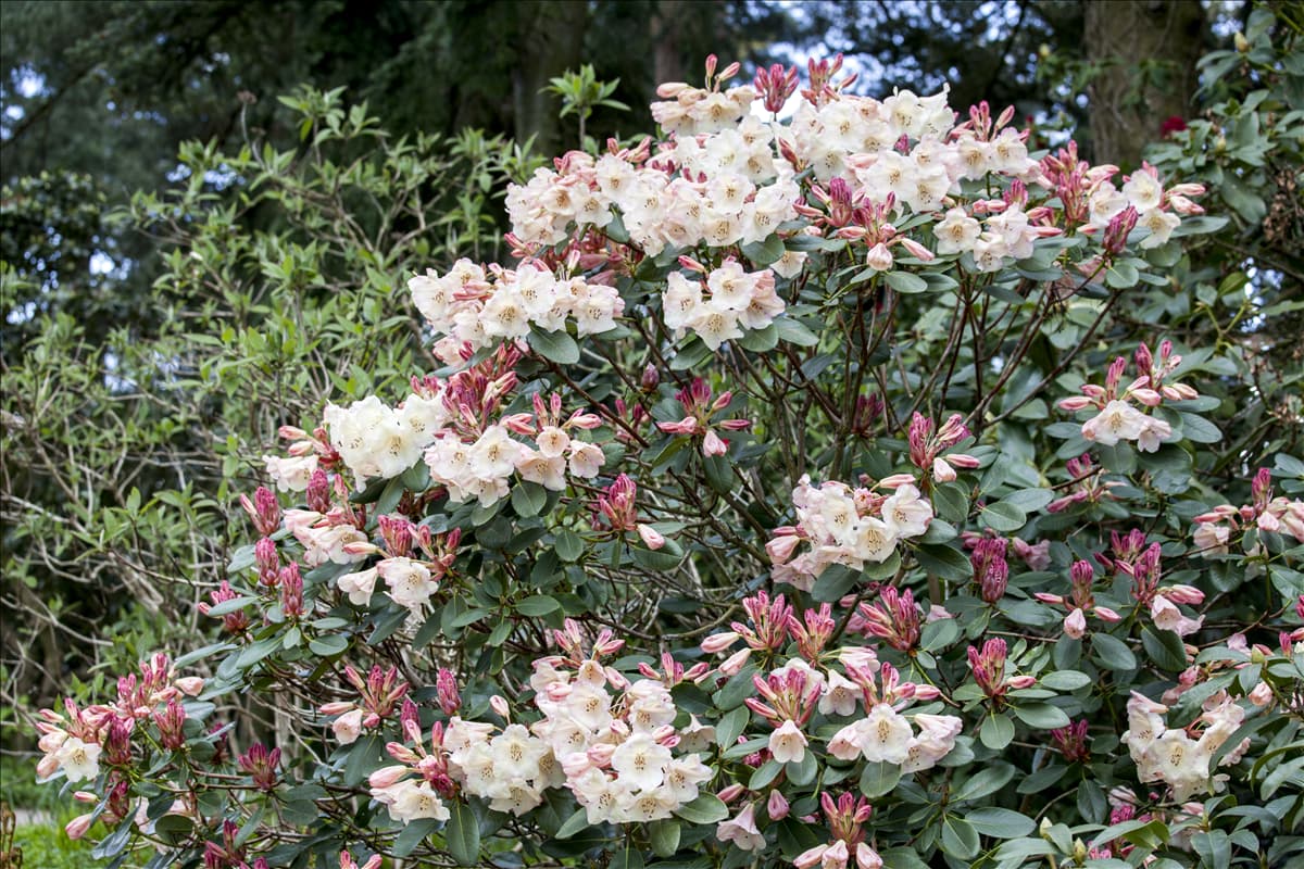 GS489470.jpg