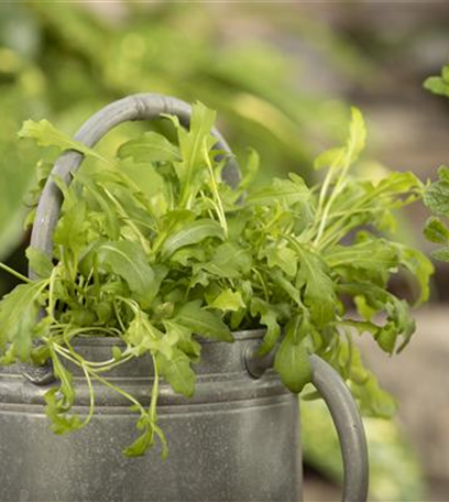 Den Boden im Garten verbessern