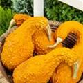 Cucurbita pepo subsp. pepo convar. microcarpina 'Warzenmischung'