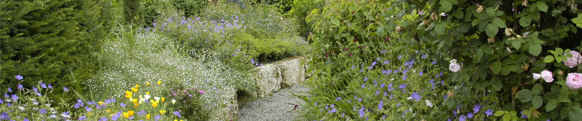 Kiesweg im Garten